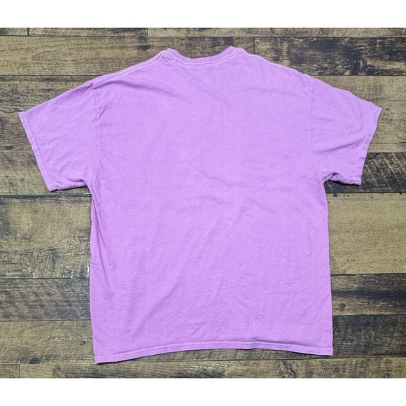 Urban Outfitters Large Pink‎ Atmosphere Earth NASA Space Skateboarding - Picture 5 of 5